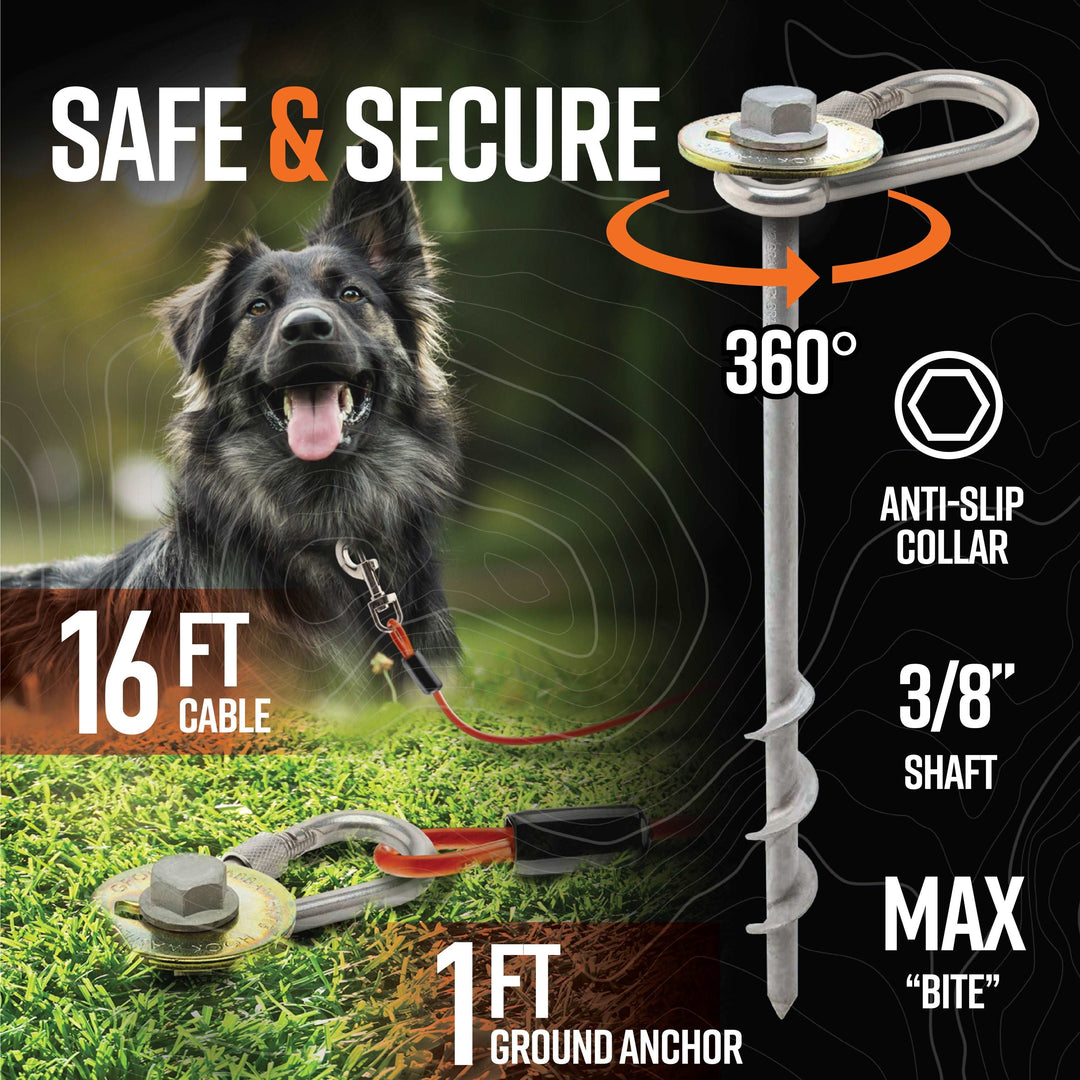 Grounded Paws Dog Tie Down Kit