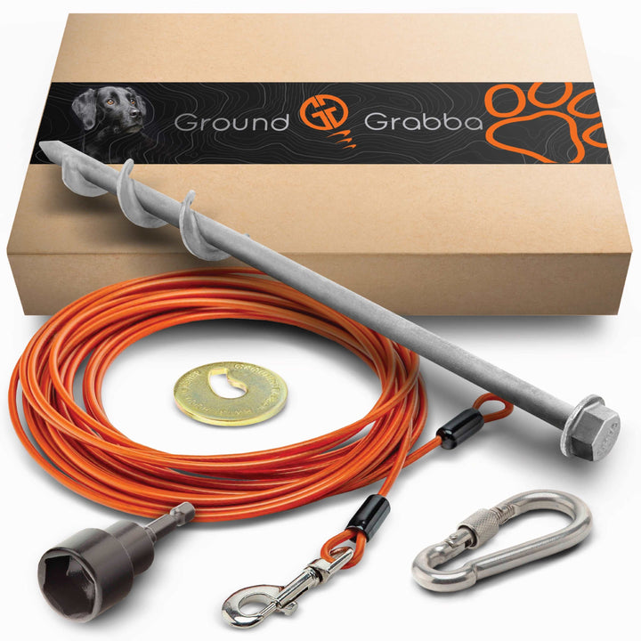 Grounded Paws Dog Tie Down Kit