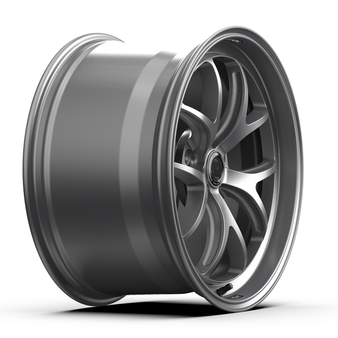 Sector RSR _ Matte Titanium