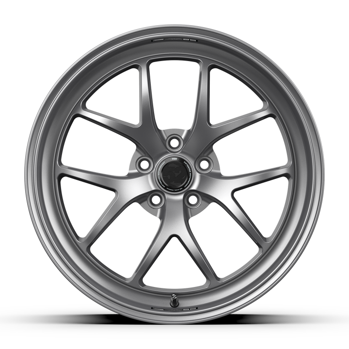 Sector RSR _ Matte Titanium