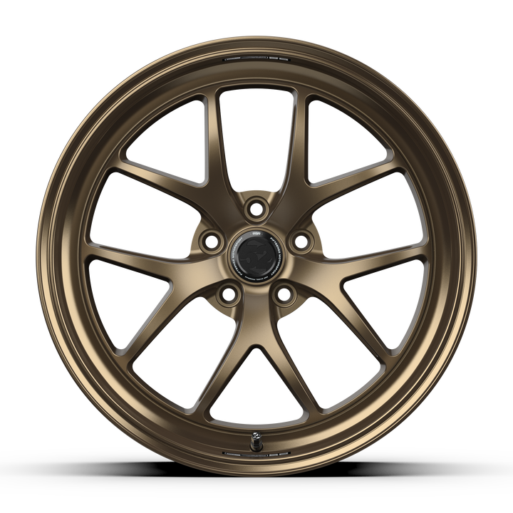 Sector RSR _ Bronze / Gloss Lip